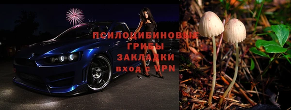 скорость Каменногорск
