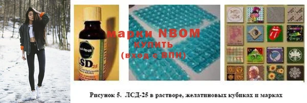 скорость Каменногорск