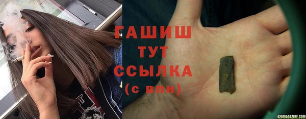 хмурый Каменка
