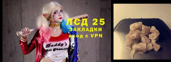 хмурый Каменка