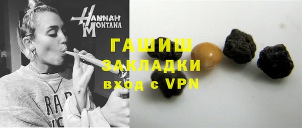 хмурый Каменка