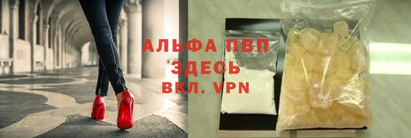 хмурый Каменка