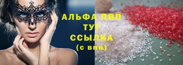 скорость Каменногорск