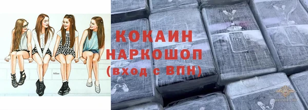 хмурый Каменка