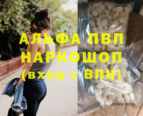 скорость Каменногорск