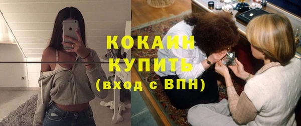 хмурый Каменка