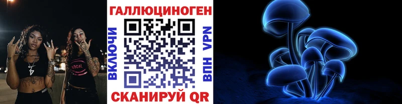 Галлюциногенные грибы Psilocybine cubensis  Купить закладки  Кяхта 